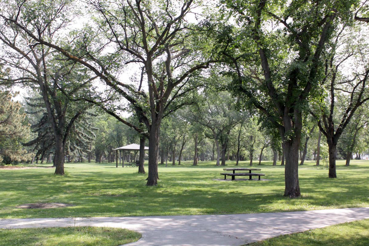 Edmonton River Valley Conservation Coalition tweet media