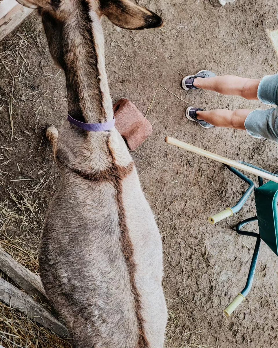 Mrs. LaRose tweet media