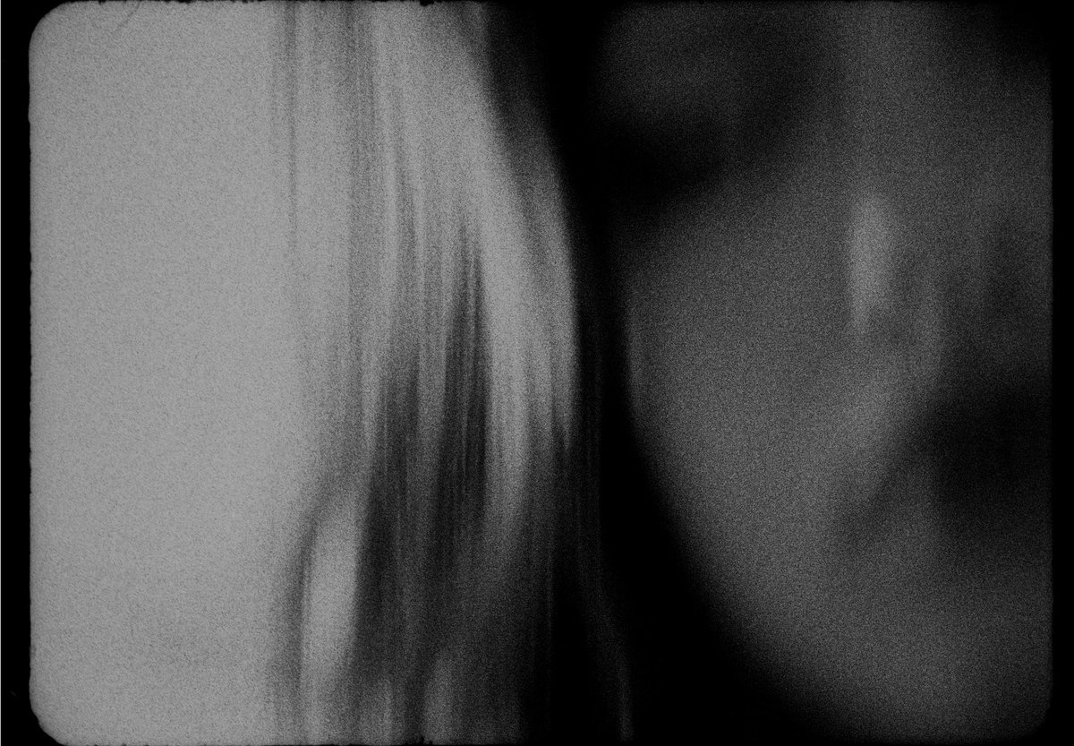 SHORE 🌊 tweet media