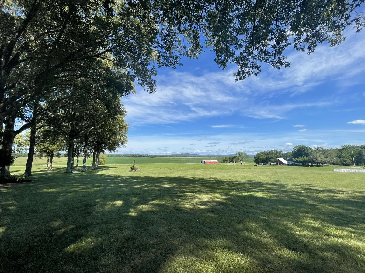 Very General Orthopaedist tweet media