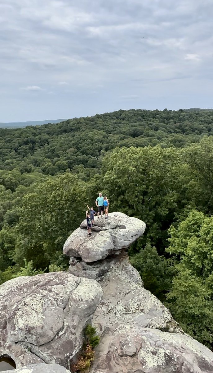 Very General Orthopaedist tweet media