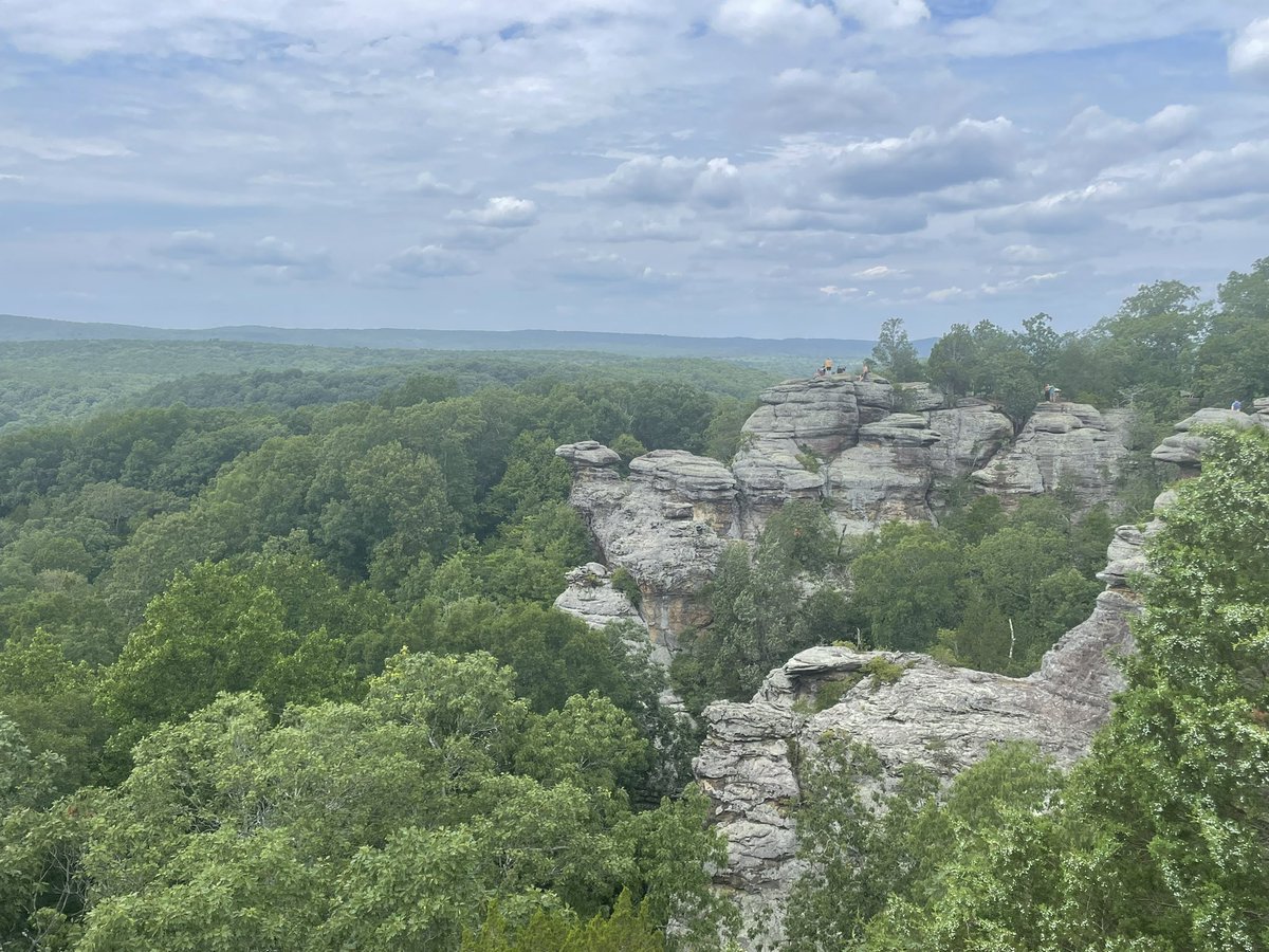 Very General Orthopaedist tweet media