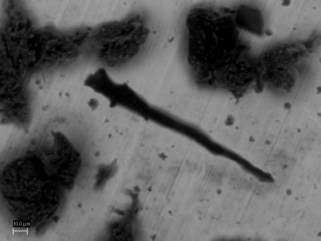 samuelp37059014's tweet photo. 6/7
Las imágenes obtenidas del análisis SEM reveló las diferentes estructuras de los microplásticos y la alta concentración de carbono del análisis elemental evidenció la naturaleza plástica de dichas estructuras encontradas. #2023BNTT #RedBIO #IPN https://t.co/50qX1ZiVYK