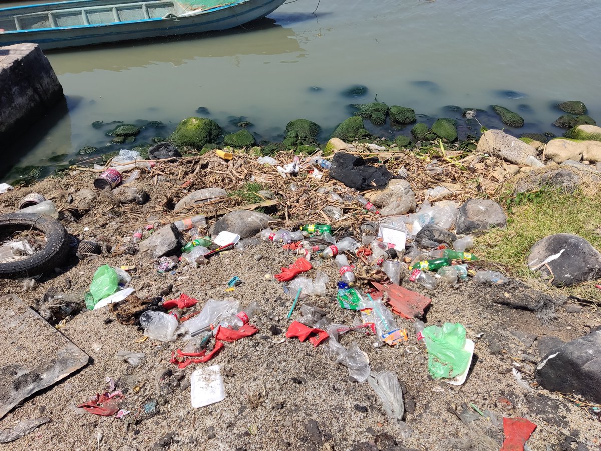 samuelp37059014's tweet photo. 3/7
Los MPs causan problemas a las características bióticas y abióticas en los sistemas acuáticos. El lago de Chapala es importante, por los recursos ecosistémicos que ofrece. #2023BNTT #RedBIO #IPN https://t.co/xKTB7ZtVDw