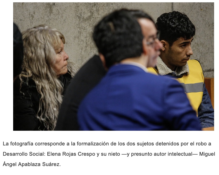 Yo❤️🐧Pingüino de Humboldt & 🐸 Ranita de Darwin tweet media