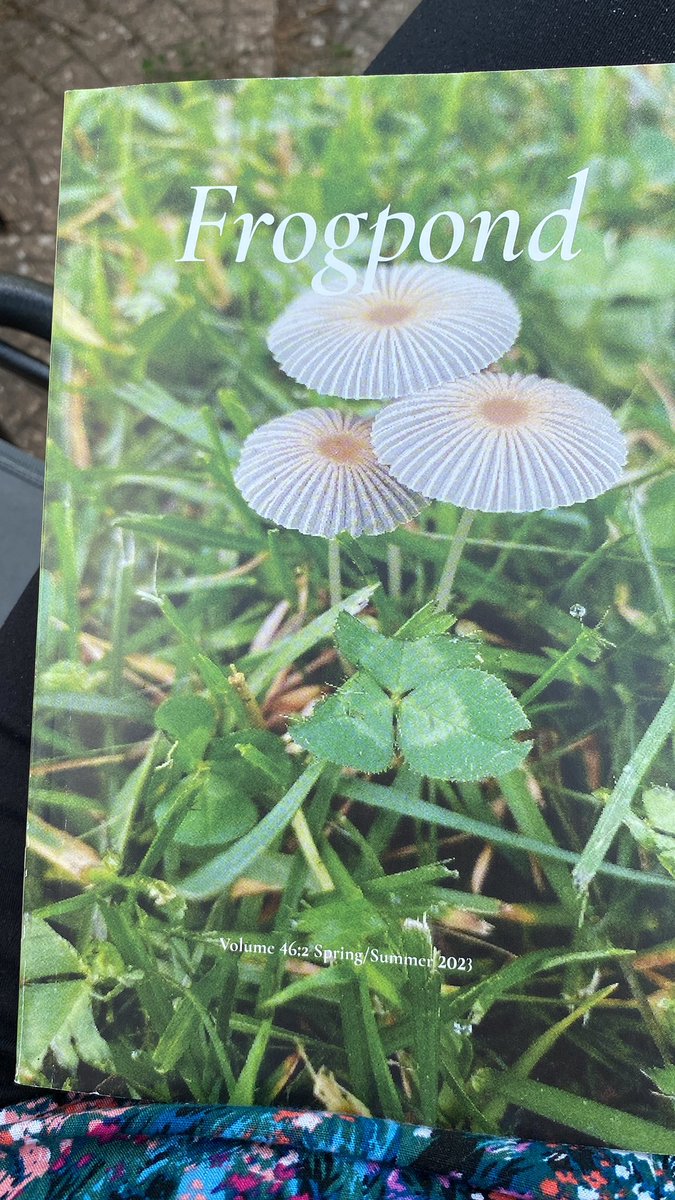 frontwards
backwards
still cover-to-cover
*
*

I keep picking up the recent issue of Frogpond from the Haiku Society of America. I don’t seem to be reading it in any logical order yet, cover to cover.