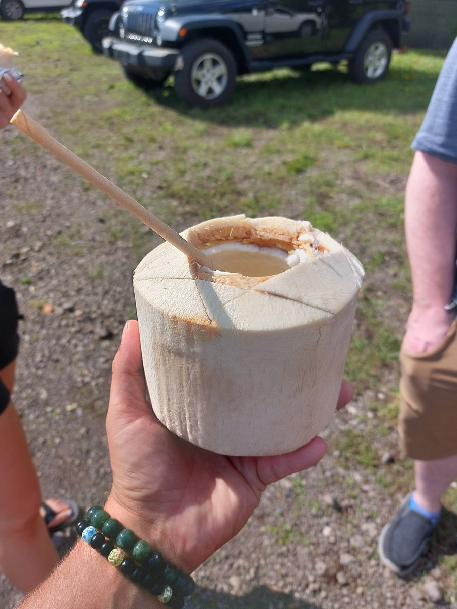 BuffaloBretto's tweet photo. Get yours on shakedown today pham!!🥥🥥🥥 https://t.co/5PQuvk6zur