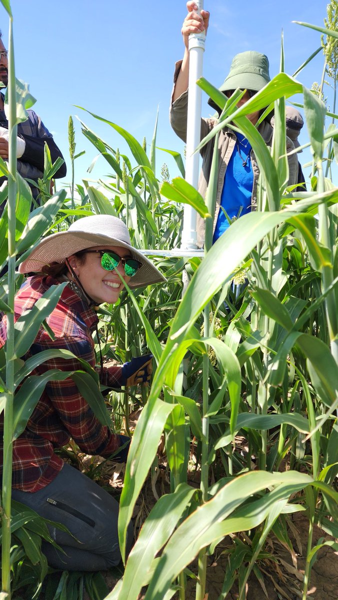 Saini DK tweet media