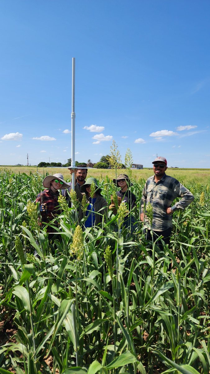 Saini DK tweet media