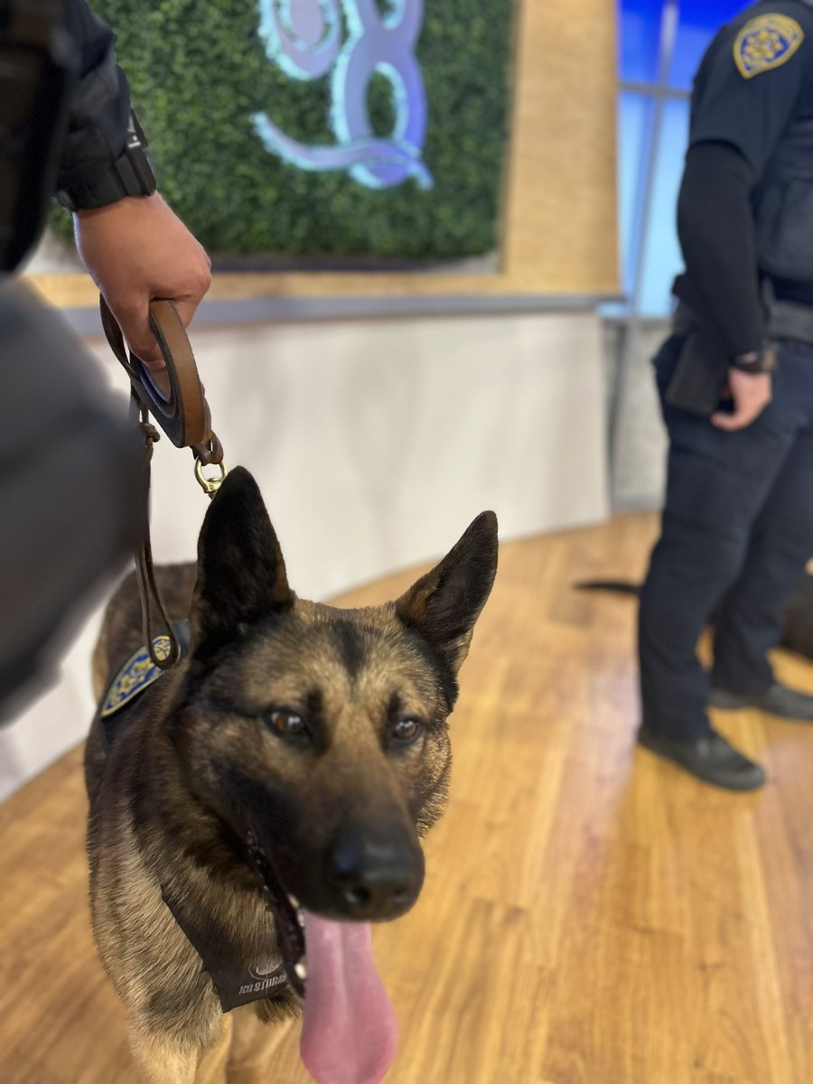 CSUSM Police tweet media