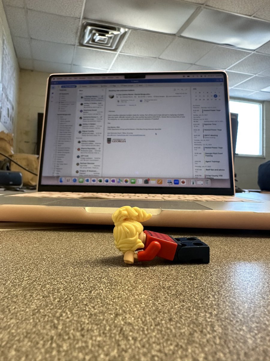 LegoForages's tweet photo. The team submitted three publications today for review! Yes, you read that right! Two manuscripts and an #extension bulletin.
#ReadyForANap #ChasingTenure #Teamwork https://t.co/Tn4sQNhAUq