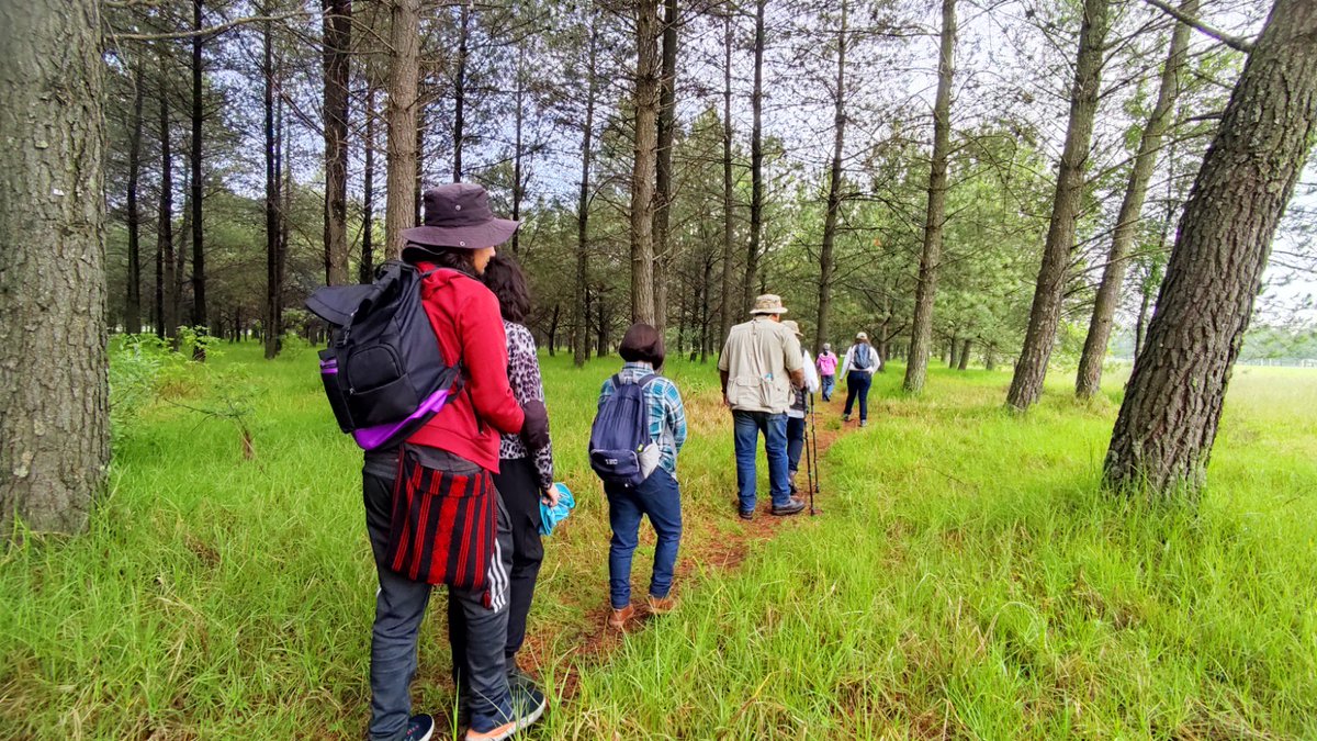 AmbienteEdomex's tweet photo. Para conocer más a cerca de la fauna que habita las #ANP, la #CGCE de la #SMAGEM realiza una ruta de senderismo interpretativo en zonas de conservación de fauna en el #ParqueAmbientalBicentenario. https://t.co/Tf8ZHn3YMM