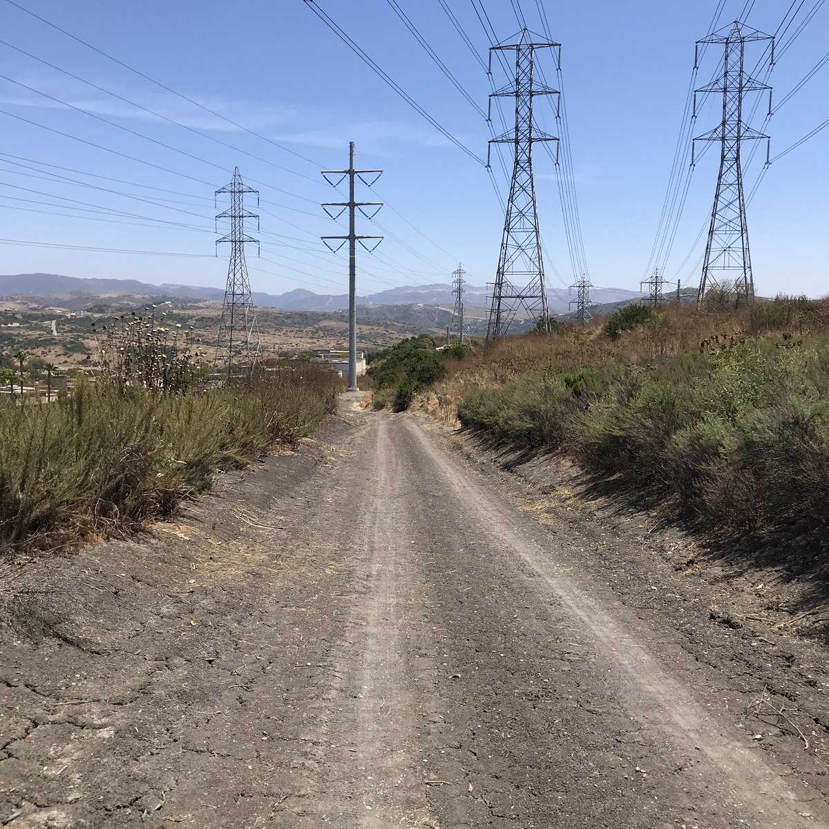 ChapyDesign's tweet image. 3rd day in a row! This time a 30min hike through the Talega trails by my work. @ocmmonkeymisfit @OnChainMonkey #monkeymisfit  Feel the burn!