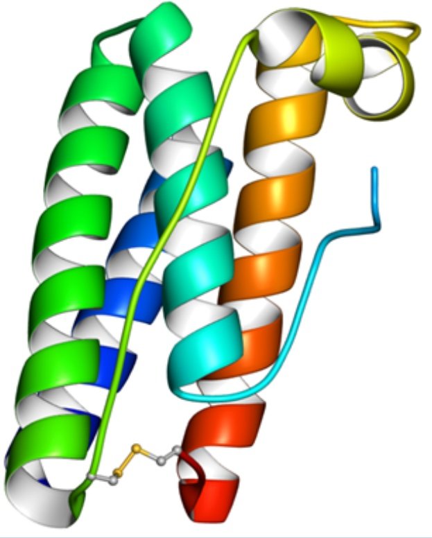 SamanthaCh1821's tweet photo. Buenas tardes, mi nombre es Samantha,  estudiante del primer semestre del Doctorado en Ciencias en Biotecnologia y les voy a platicar sobre una investigación con la proteína leptina, llevada a cabo en el  Laboratorio de Bioquímica de la ENMH (1/5) #2023BNTT #IPN #Redbio https://t.co/j78eKcuuSX