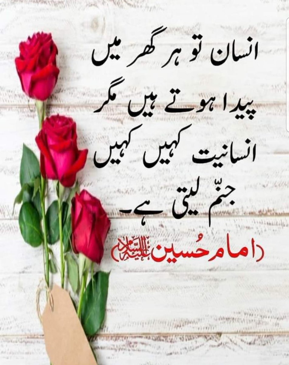 Haris Gondal tweet media