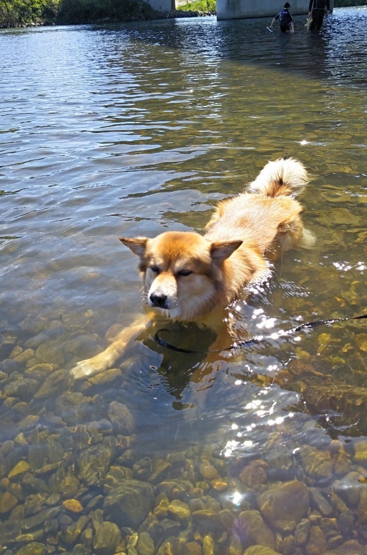 気持ちいいね〜