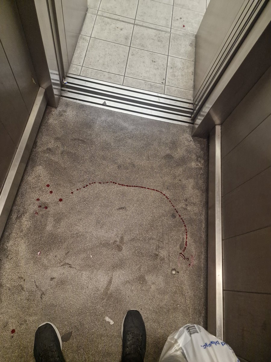 OnlyDaz_'s tweet photo. Arrived in London for a weekend away. Just tryna get on the tube. Greeted by fresh blood. Lovely. https://t.co/TSJZ8h10DM