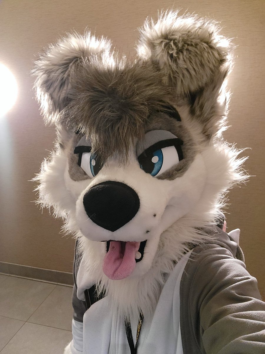 Happy #WorldCollieDay and #FursuitFriday

I'm living my best collie life. 😘