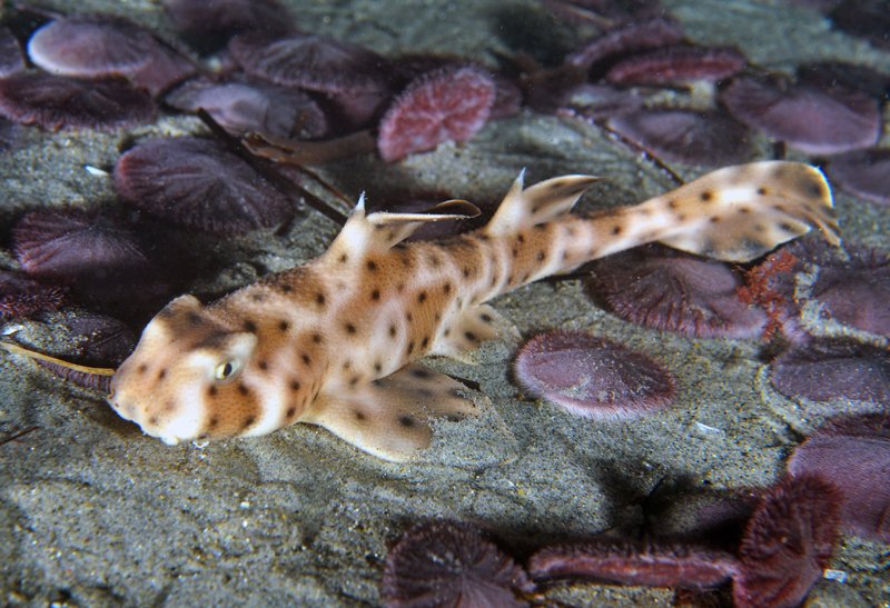 Jim Wharton, PhD (he/him) tweet media