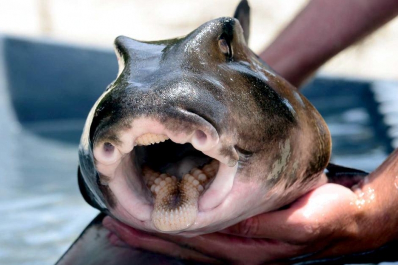 Jim Wharton, PhD (he/him) tweet media