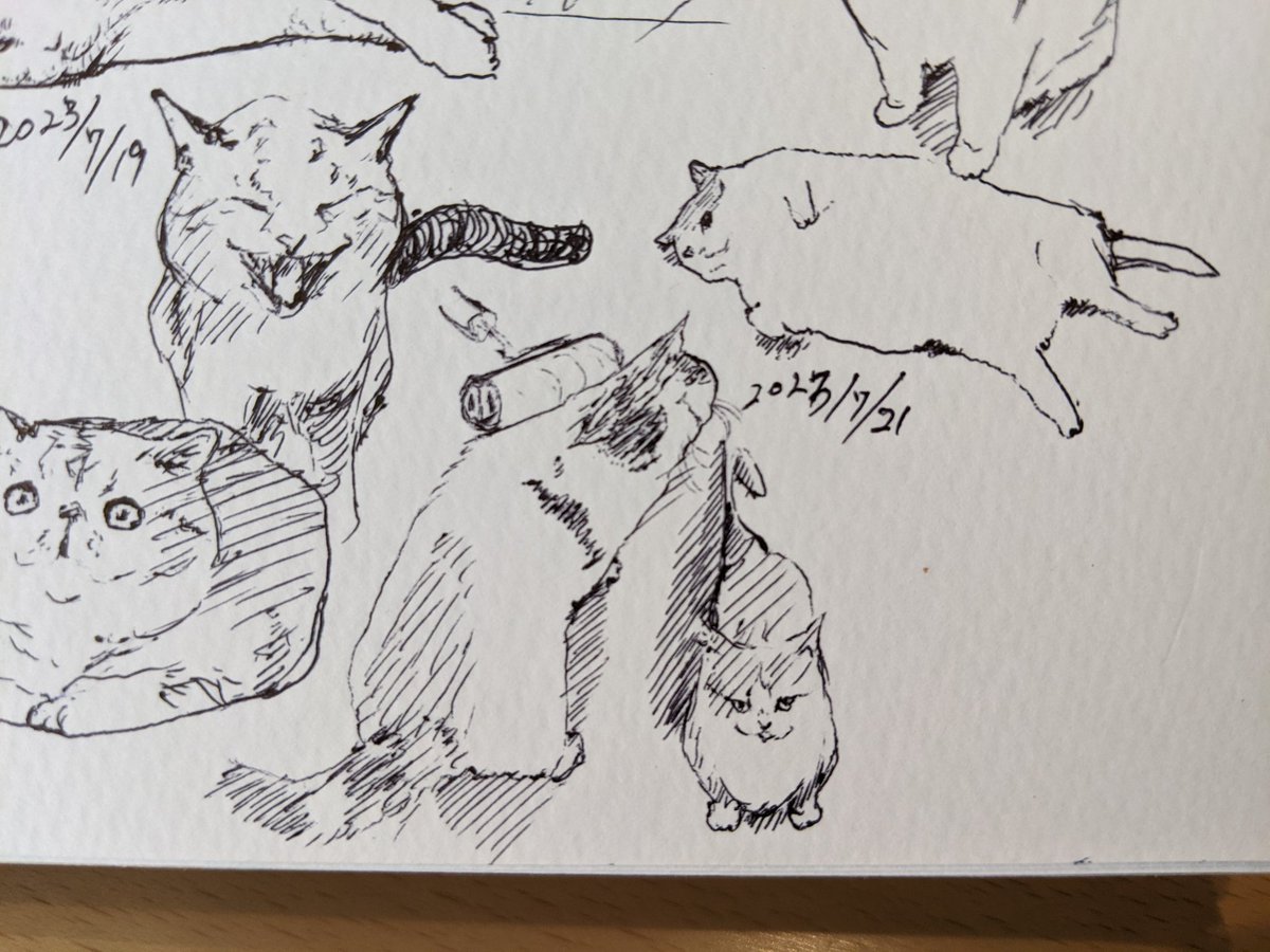 子どもを預ける保育園が決まったよ カキカキ。 