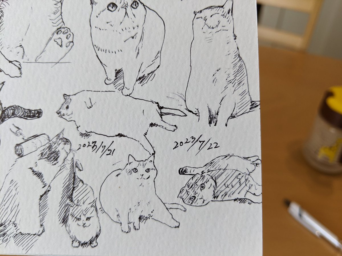 子どもを預ける保育園が決まったよ カキカキ。 