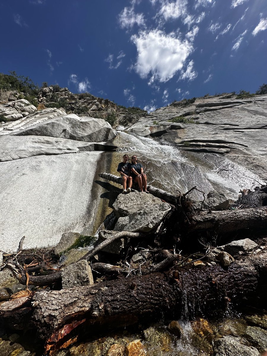 Miss Madej tweet media