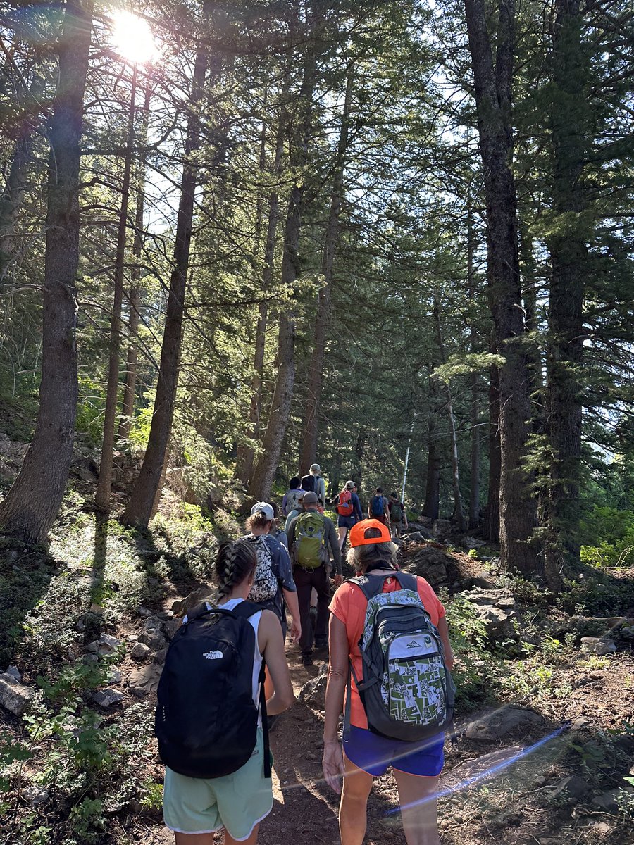 Miss Madej tweet media