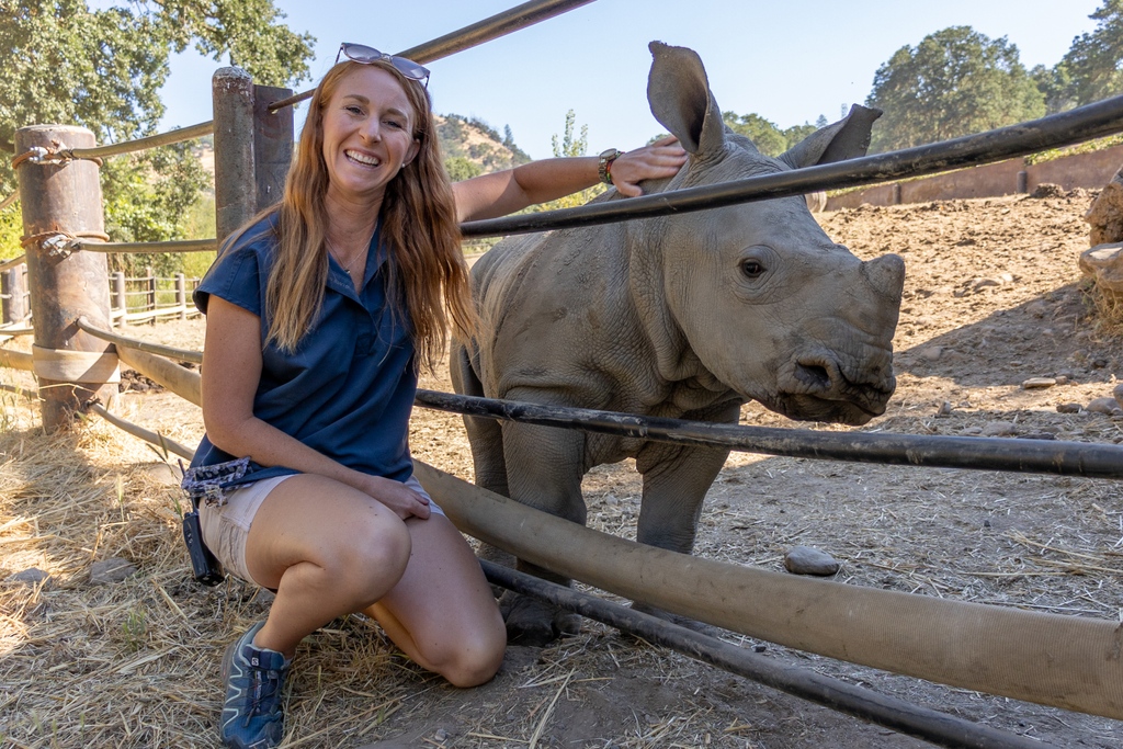 It is National Zookeeper Week! We are so lucky to have a dedicated group of animal caregivers that work endlessly to provide the best possible lives for the animals that call Safari West home. See more: safariwest.com/2023/07/it-is-…