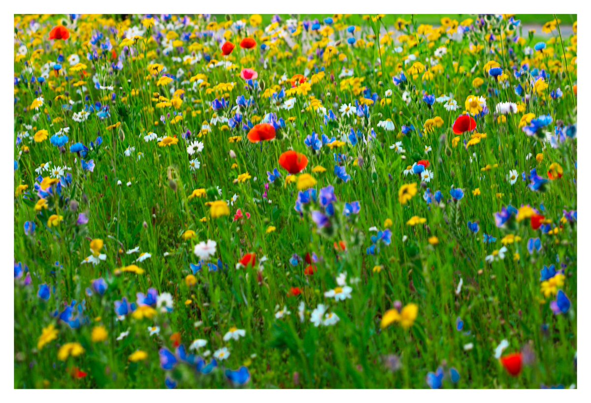 Catherine Duggan tweet media