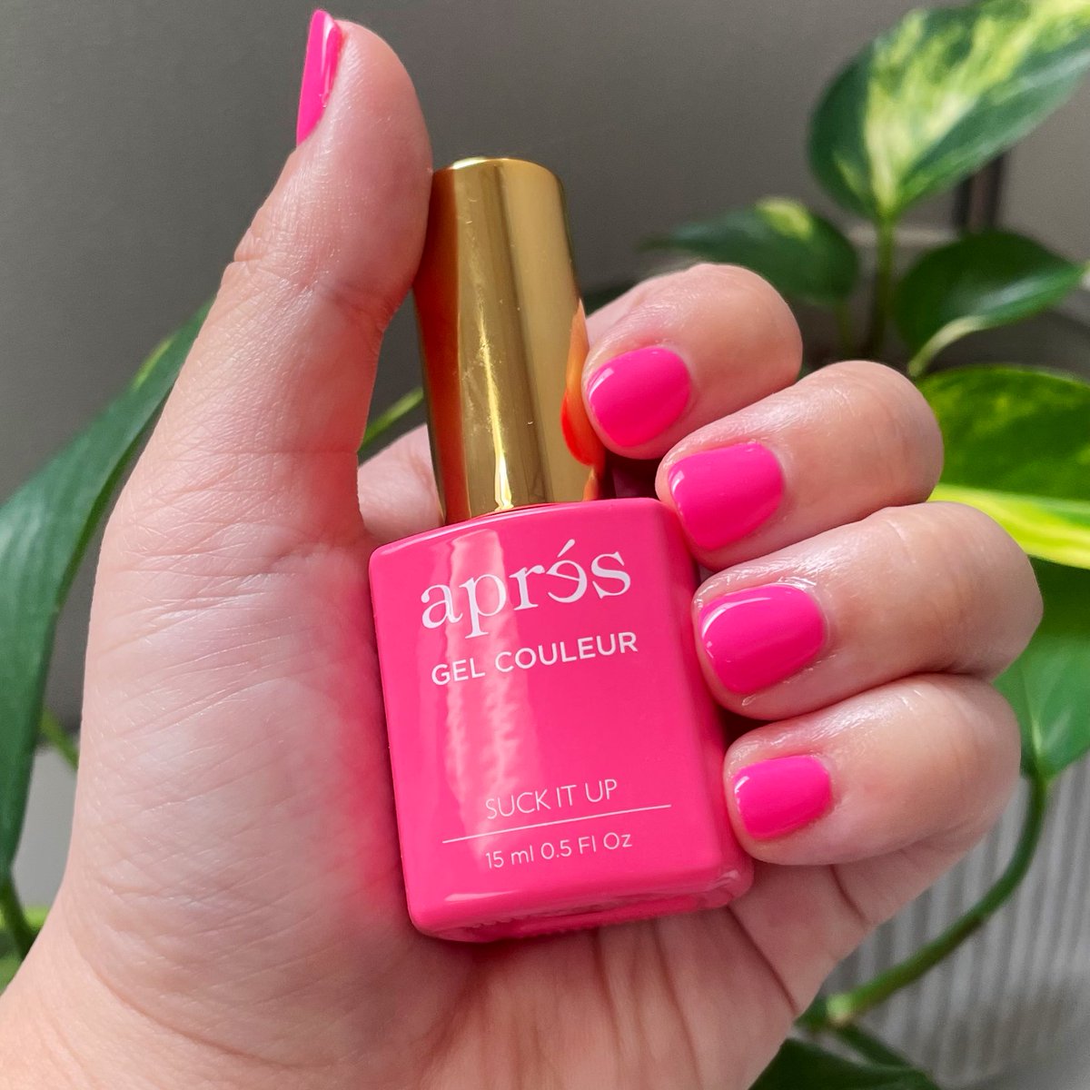 Apres Nail Official tweet media