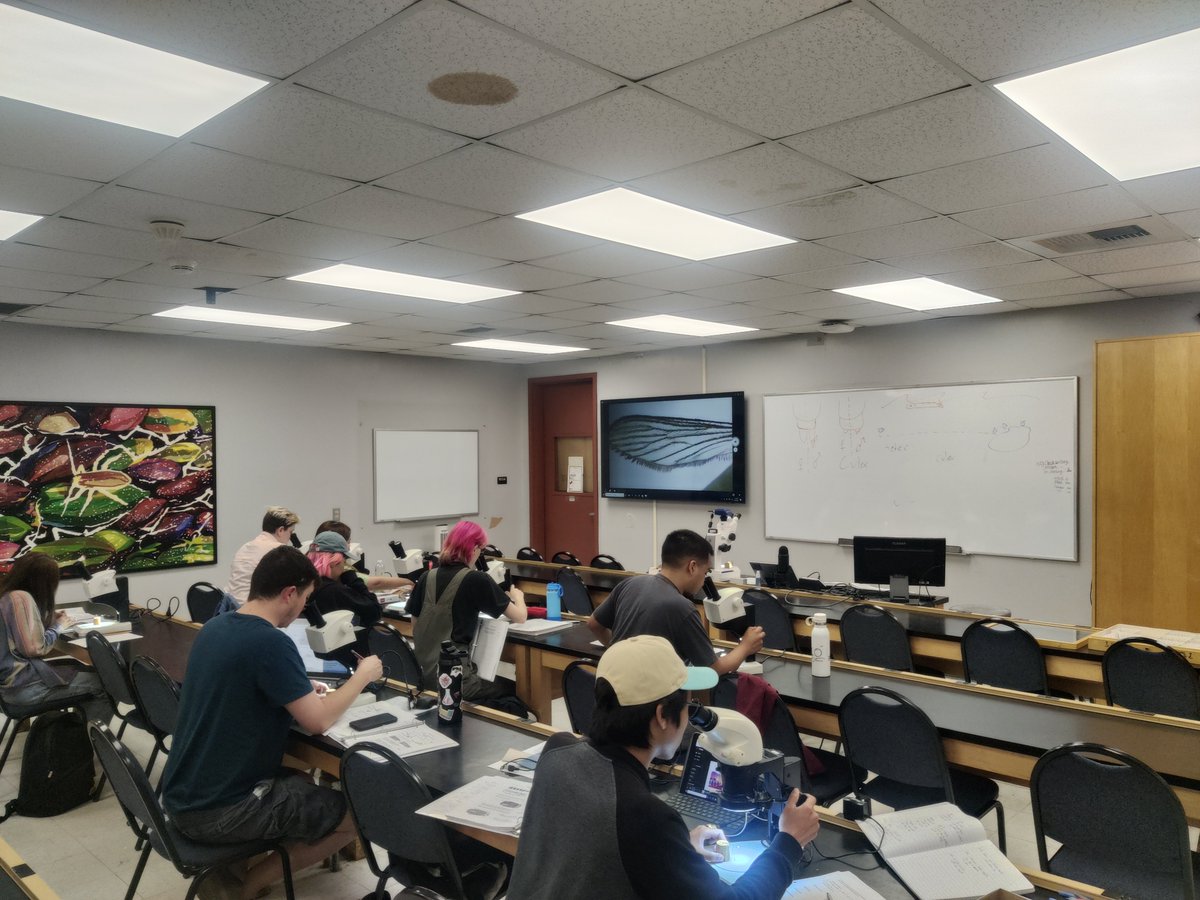 Ben Nyman 🌻 tweet media