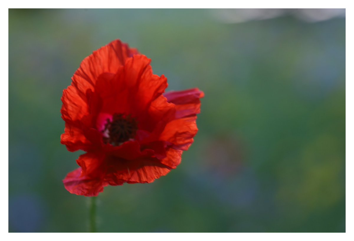 Catherine Duggan tweet media