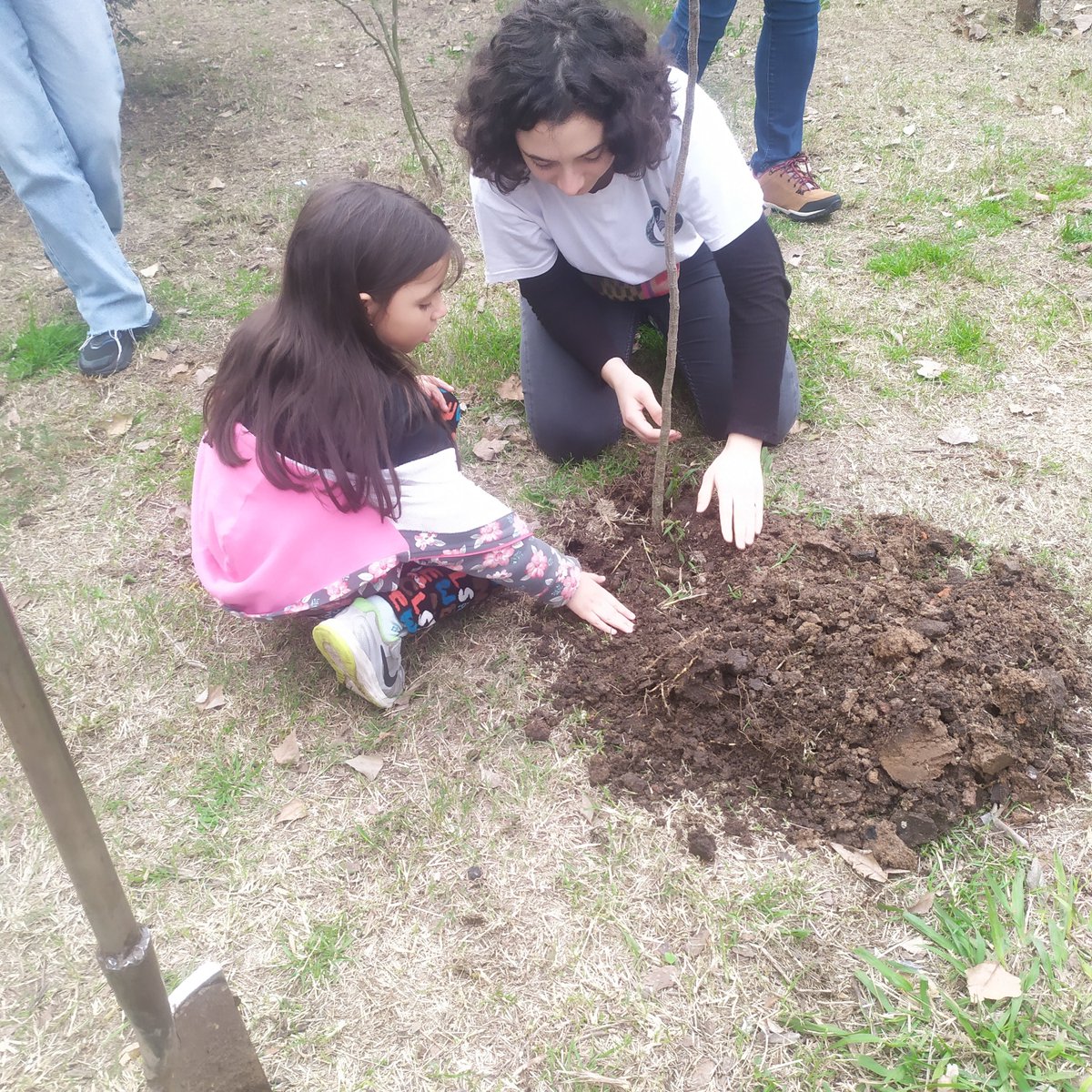 maestroadrians's tweet photo. En la plaza Clemente de Colegiales, plantando cuatro espinillos con @everdesok . https://t.co/UO9mtYd4MH