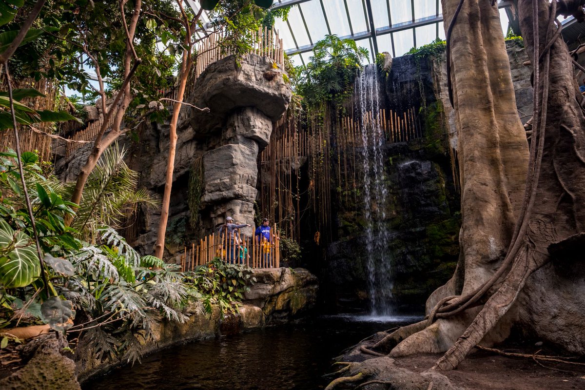 🎶Welcome (back) to the (Lied) Jungle!🎶 We are happy to announce that the Lied Jungle is officially fully reopen! Guests now have daily access to the upper level-level portion beginning at 9 a.m. and the lower level at 9:30 a.m., until 4 p.m. omahazoo.com/inthenews