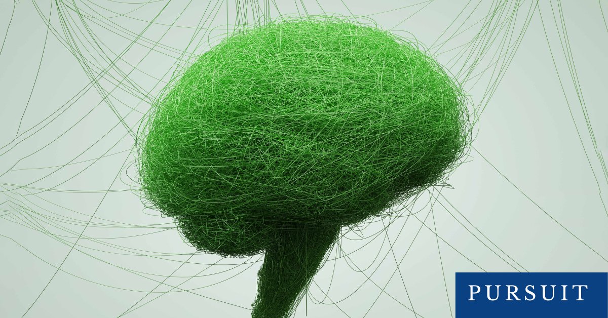 UniMelb MDHS (@unimelbmdhs) on Twitter photo 🧠 Brain health the key to overall health.
This #WorldBrainDay experts are uniting to highlight the importance of brain health in combating disability, and improving our wellbeing 👉 unimelb.me/3Q68lCZ
#UniMelbPursuit w/ <a href="/combatstrokeSL/">Professor Tissa Wijeratne OAM MD PhD</a> <a href="/daviddodick/">David Dodick</a> <a href="/WGrisold/">wolfgang Grisold</a> <a href="/wfneurology/">World Federation of Neurology (WFN)</a> 🧠 Brain health the key to overall health.
This #WorldBrainDay experts are uniting to highlight the importance of brain health in combating disability, and improving our wellbeing 👉 unimelb.me/3Q68lCZ
#UniMelbPursuit w/ <a href="/combatstrokeSL/">Professor Tissa Wijeratne OAM MD PhD</a> <a href="/daviddodick/">David Dodick</a> <a href="/WGrisold/">wolfgang Grisold</a> <a href="/wfneurology/">World Federation of Neurology (WFN)</a>