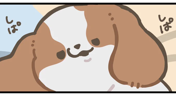 犬日記 本日18時頃更新予定です🐶