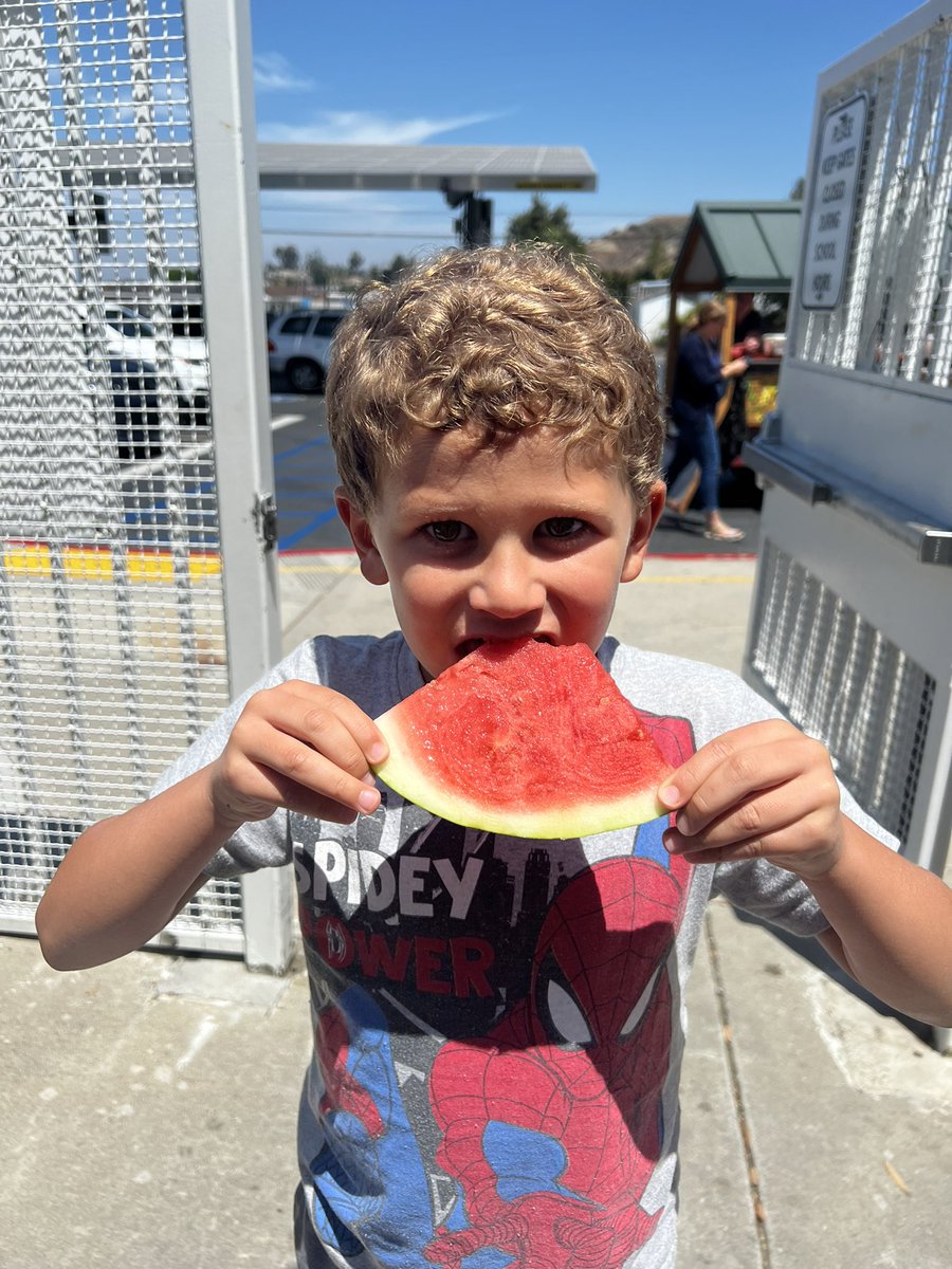 Miss Ellison tweet media