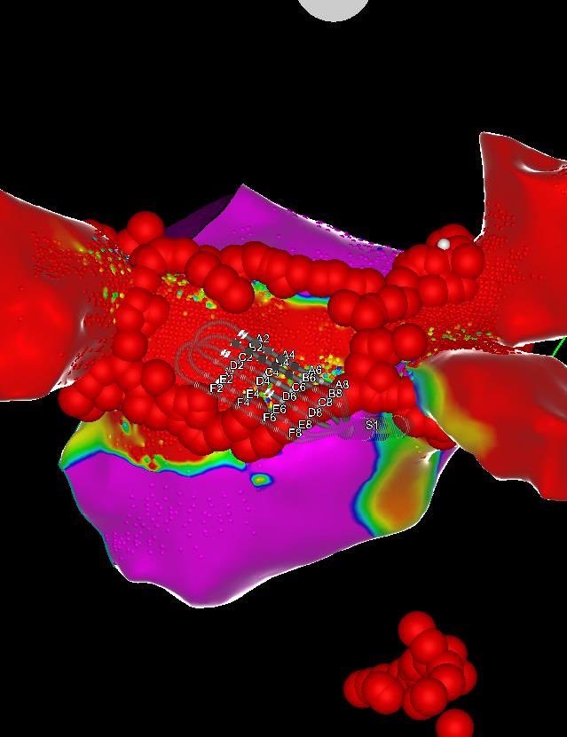 Megna Saha tweet media
