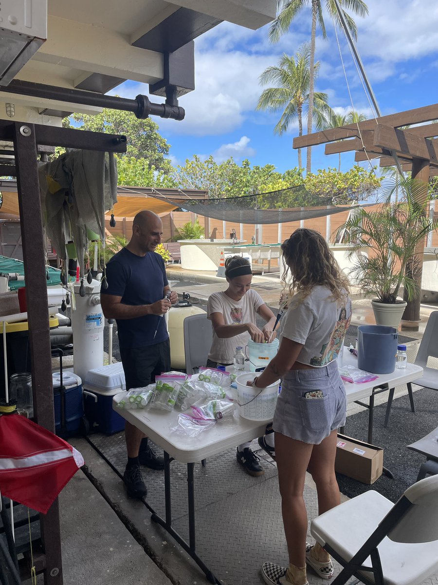SyrenaWhitner's tweet photo. PROUD MENTOR MOMENT!! 
This crew has been working their tails off the last month on an experiment investigating the impacts of ocean acidification and warming on rates of fungal parasitism on marine phytoplankton here in Hawai’i. Unreal dedication, effort, and love, so proud🥲 https://t.co/NCESeqkJTN