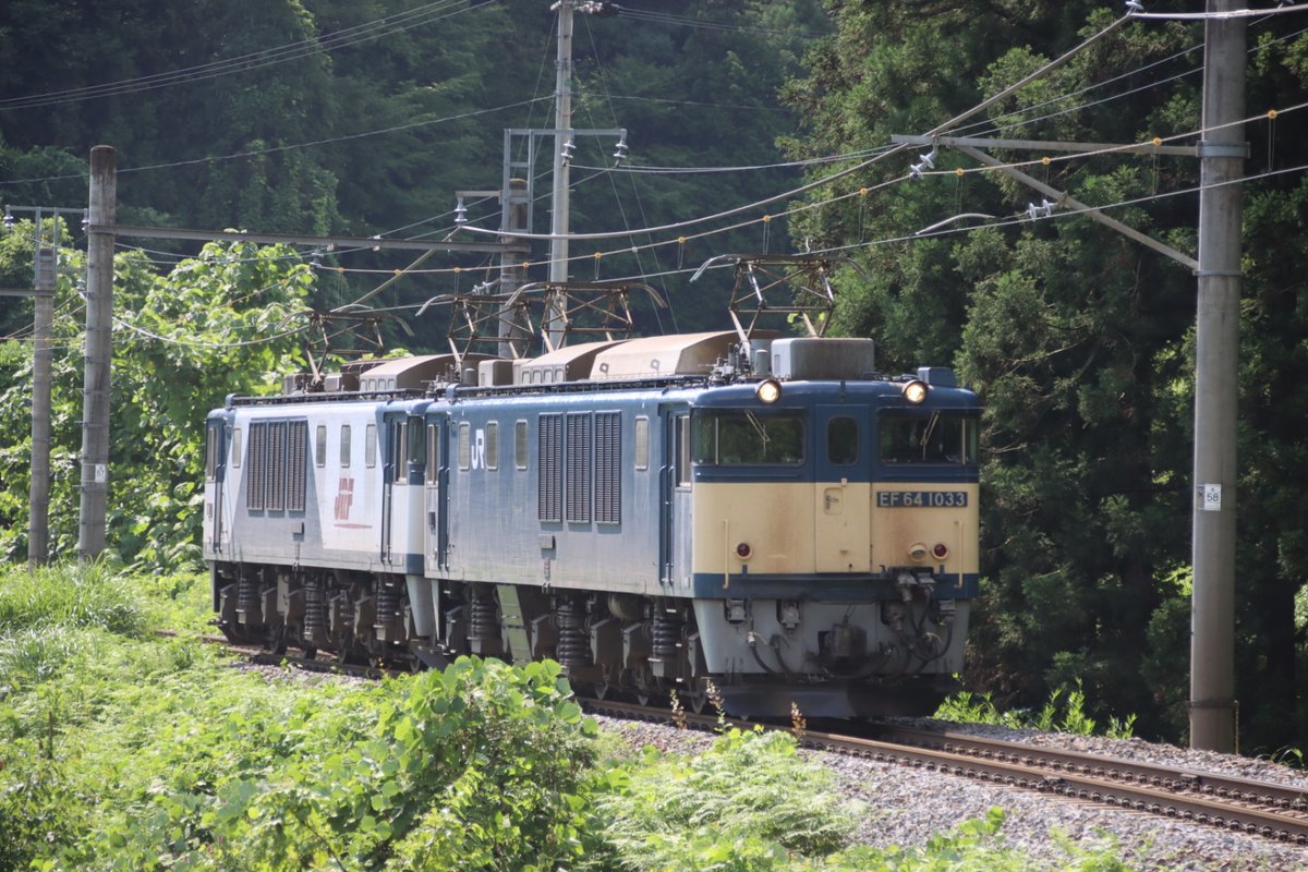 EH200EF64's tweet photo. 📷️　(7月22日)

EF641033+EF641017　重連

先週、北海道(札幌)行ってたから、見れなかった・・・。

貨物列車より、速く走る事が、得意です✌️

本体　#canon 　#EOSM6Mark2 
レンズ　#SIGMA  #18300f3563 https://t.co/95DAi951PB