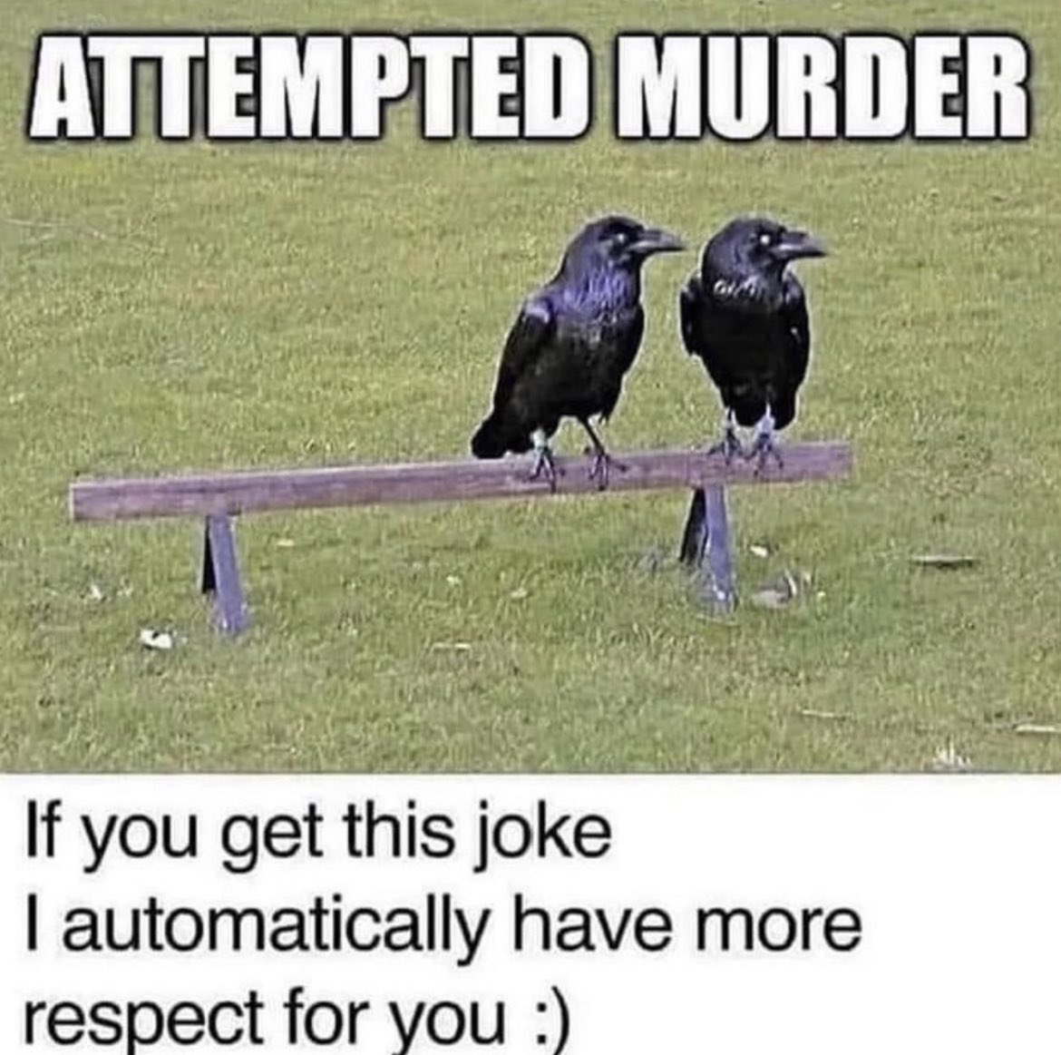 horror_flick_66's tweet photo. 🤪 https://t.co/zxxIcA6SId