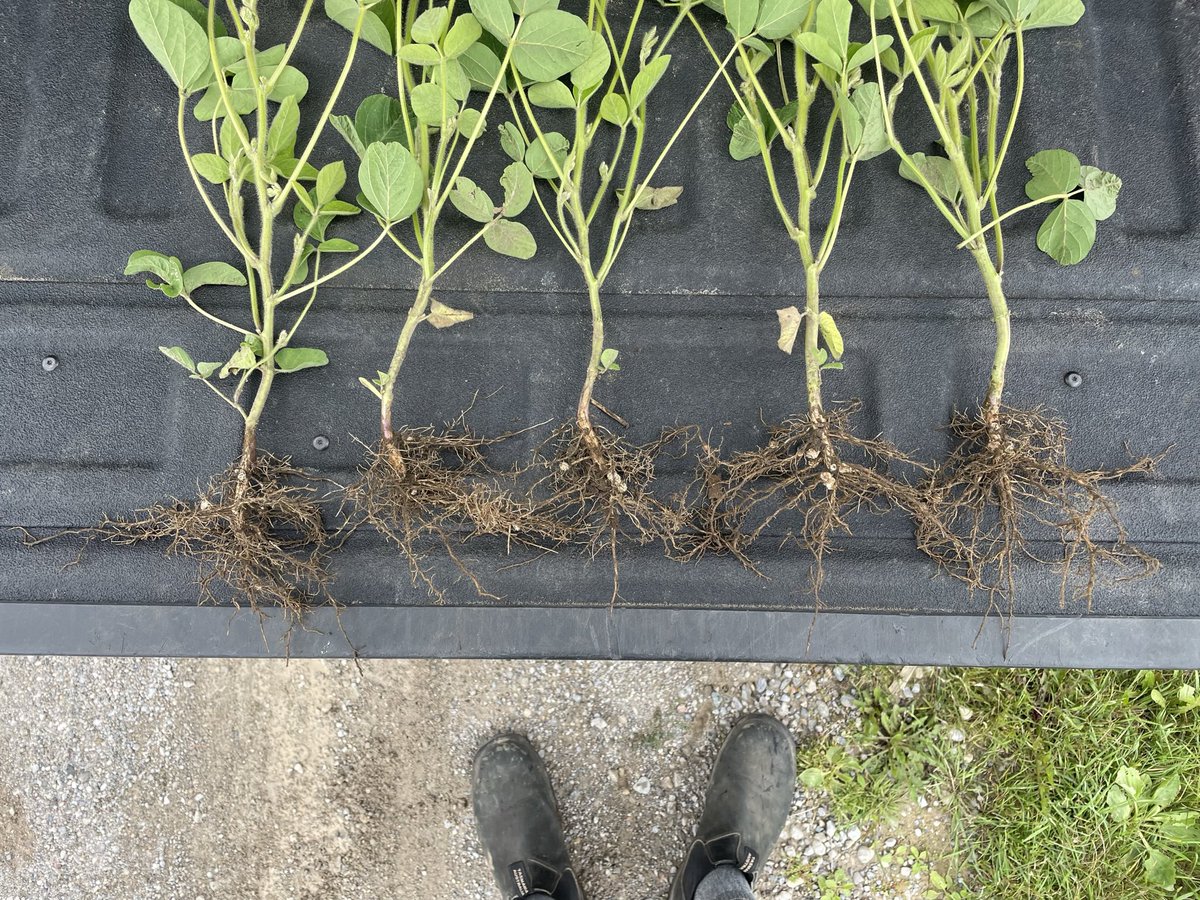 Scott Cressman tweet media