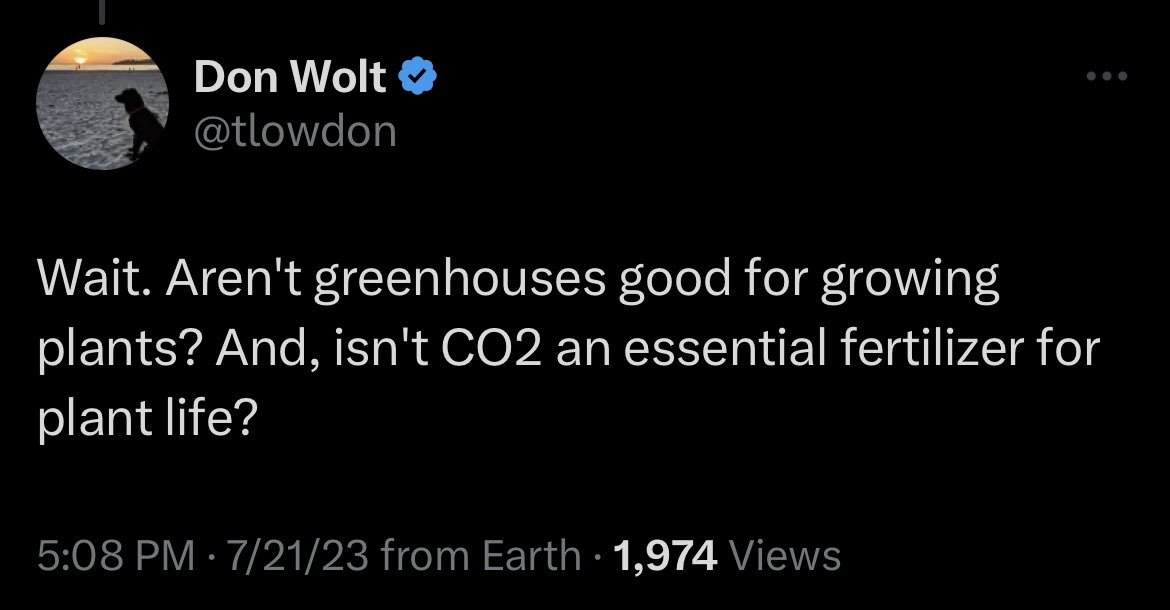 June 🐛 tweet media