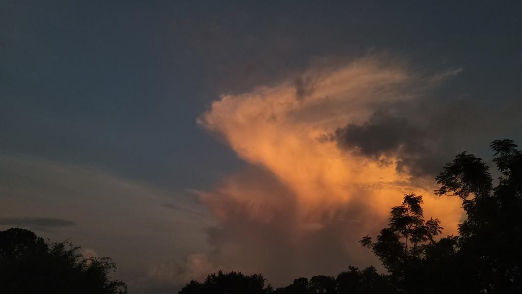 SpaceCoastSkies's tweet photo. I took so many pictures of this cloud lol thankful for digital storage 😶‍🌫️ 🤣 #clouds #sunset #SpaceCoastSkies #StormHour #flwx #nevertoomany https://t.co/T3C8LQfhJP