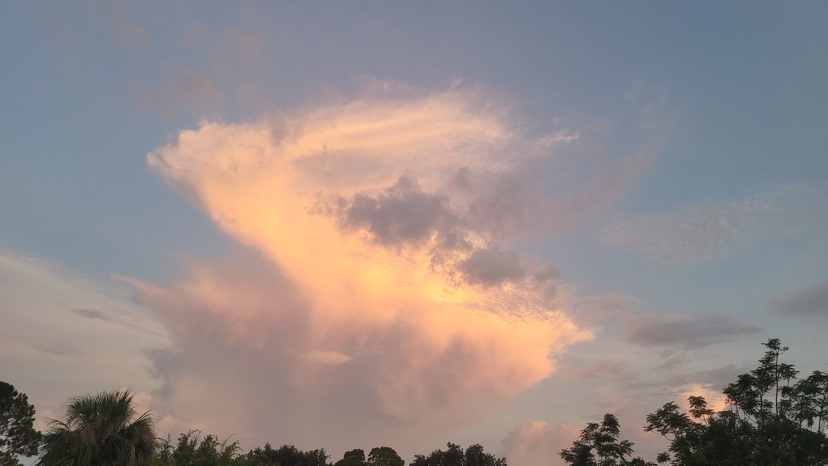 SpaceCoastSkies's tweet photo. I took so many pictures of this cloud lol thankful for digital storage 😶‍🌫️ 🤣 #clouds #sunset #SpaceCoastSkies #StormHour #flwx #nevertoomany https://t.co/T3C8LQfhJP