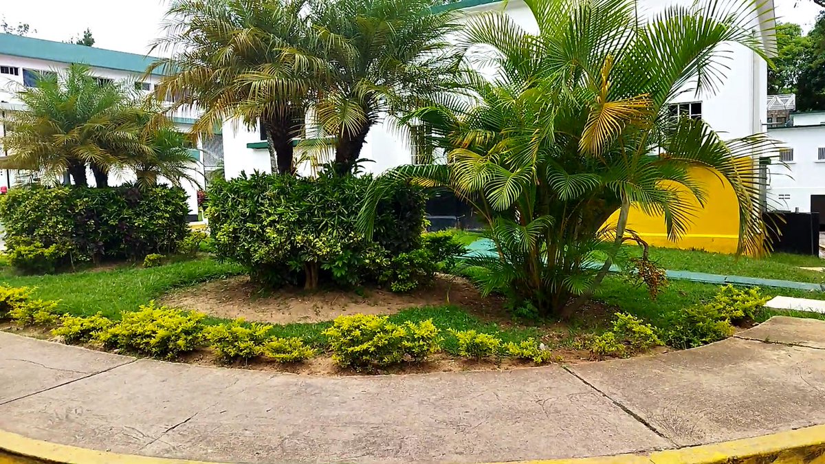 hospimilTiuna's tweet photo. #Enterate👉📷|| En el marco del plan #YoSiQuieroAMiHospital💚nos mantenemos al cuido permanente de nuestras areas verde en pro de un mejor servicio!
#PorLaSaludDeLaPatriaJuntosVenceremos💖🇻🇪#hmvss #ATENÇÃO #atencionprimaria #SaludParaTodos #Ecology #SaludEnTodaLaPatria https://t.co/RRCImD5Ooo