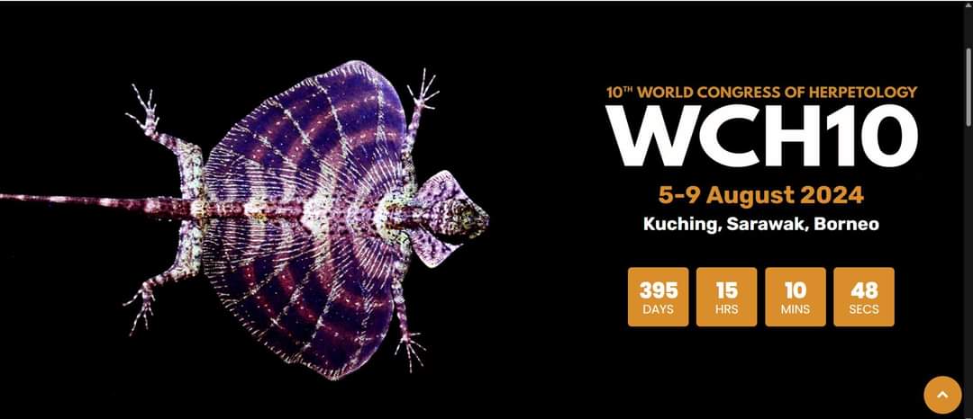 WCH10 website is live now! Check out the details at: 
2024wch10.com