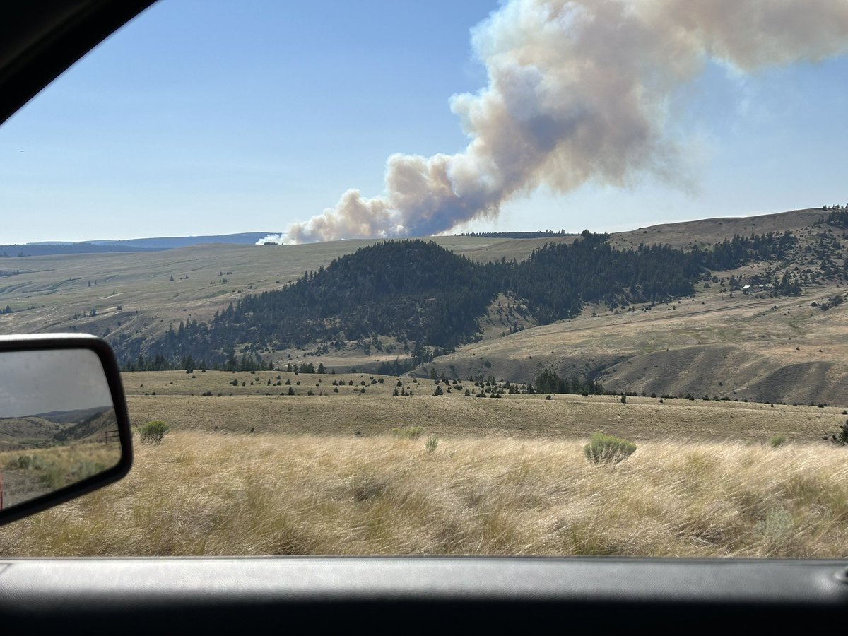 Borth73's tweet photo. @Kamscan About an hour ago in the trapp/Napier lake area. https://t.co/ujGQ39iydH