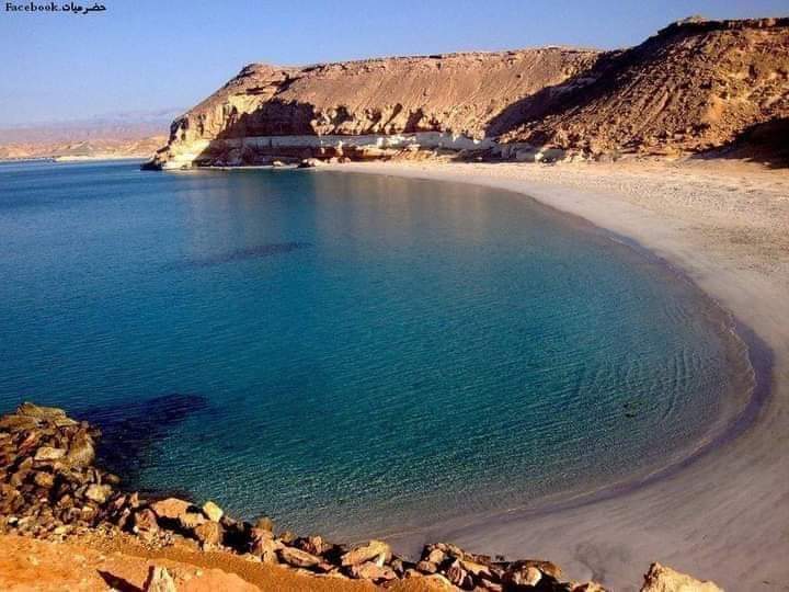 alhdad93's tweet photo. @fayez_malki يا هلا وسهلا فيك يابو راكان، بتنورنا وتشرفنا على العين والرأس، ولا تنسى تزورنا في مسقط رأسي #الديس_الشرقية في #حضرموت، وأهم مدنها محمية #شرمة، حيث تشتهر بأندر السلاحف الخضراء في العالم والبعض يعتبرها أفضل سواحل حضرموت، واتركك مع الصور https://t.co/k4kZaI8SrZ